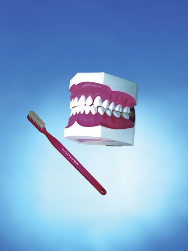 Demonstration Model with brush